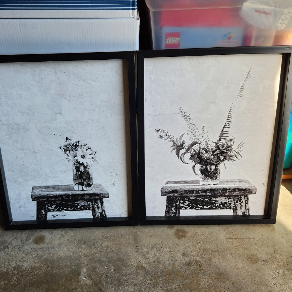 Black and White Framed Floral Art Prints